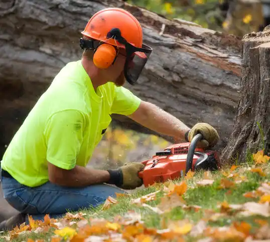 tree services Jonestown